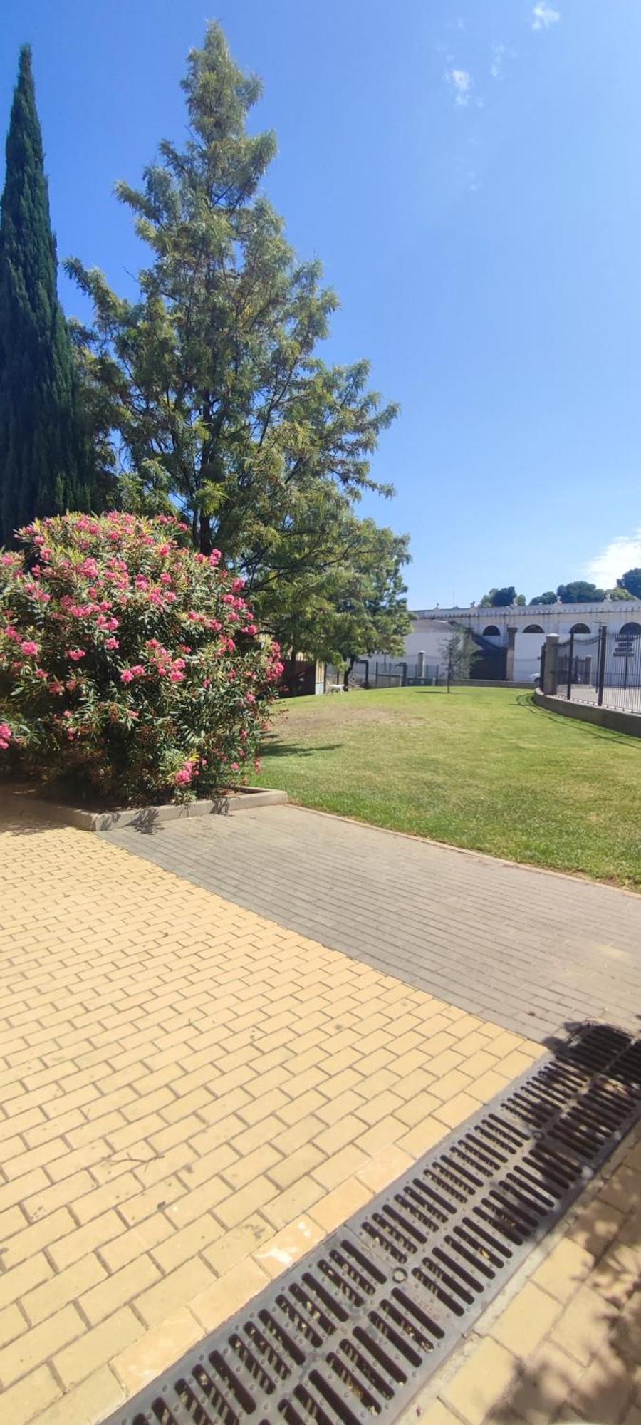 Cuatro Caminos Centro Jerez Lägenhet Jerez de la Frontera Exteriör bild