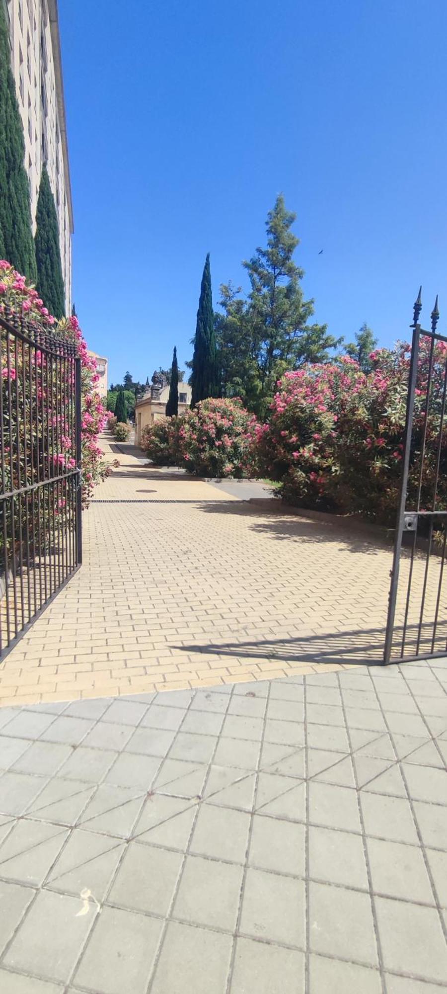 Cuatro Caminos Centro Jerez Lägenhet Jerez de la Frontera Exteriör bild